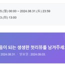 디에이머스 네이버블로그