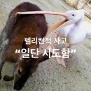 조이&신짬뽕 | 2406. 오르페우스와 에우리디케