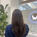웨이비(Wavy) 이미지