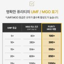 윌비커뮤니케이션 | 연말선물추천, 먹기 편한 스틱형마누카꿀 퓨리티 MGO300 마누카꿀 스틱 찐사용후기