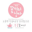 벨리노16 네이버블로그