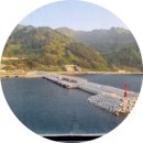 저동 시장 골목 | 가족과 함께한 힐링 여행, 울릉도 여행 패키지 후기 🌊