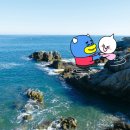 메리메리유 이미지