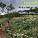 대한인력지원센터 이미지
