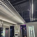 STS BOXING 이미지