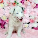 이박사크리닉 이미지