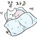 리더스병원 이미지