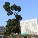 세무법인장원 이미지