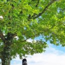 송라목장 이미지