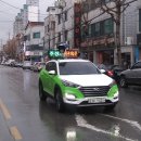 주정차-19 이미지