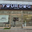 유얼도그 이미지