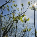 박용수농장 이미지