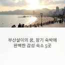 부산 살이 꿈꾸는 사람들 주목! 🏖️