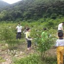 칠암 농장 이미지