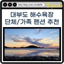 D-24 | 대부도 해수욕장 추천 샤워장 주차장 및 펜션 단체 애완견 방3개 이상인 곳