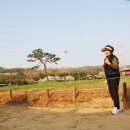 대한민국 구석구석...큰마님 모시고 걸어본 인천대공원 벚꽃축제... 이미지