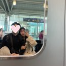 리나스트래블 | 💑✈신혼여행 _ Day1 스페인(바르셀로나) 출발