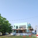 할리베어(HOLLY BEAR)