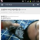 카페드립 - 경주시 초당길55번길 6 | 카페드립