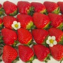 비량농원 이미지