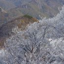 스티브 잡스가 병상에서 자신의 과거를 회상하며 마지막으로 남겼던 메세지 라고 합니다. 이미지