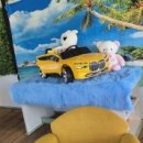 애견시선 이미지