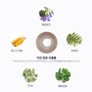 라파젠 | "라파젠 파우더" 샘플신청 하세요~!!(해당 이벤트는 종료되었습니다.)