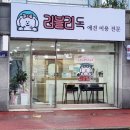 러블리독 | [충남] 논산 애견미용실 대형견 고양이 가위컷 목욕 스파 , 러블리독
