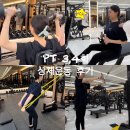254-운정3-254 | 운정 헬스장 버클다운짐 운동 초보 여자 PT 4회 후기
