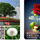 여유와행복