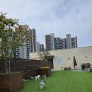더봄(THE 봄)
