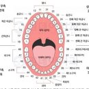 ﻿K05.31 만성 복합치주염 Chronic complex periodontitis 이미지