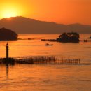 완사약국 이미지