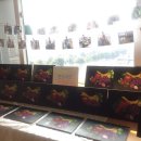 남구장애인종합복지관 이미지