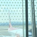 대정읍-7 | 버킷제주 제주도 2주살이 대정읍 하모리 1편.