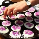 화전 이미지