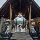 호텔정글(jungle) | 더 카욘 정글 리조트 위치 체크인 가격 발리 우붓 5성급 호텔 추천