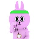 소풍애견미용 이미지