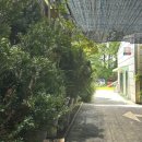 칠보생고기 이미지