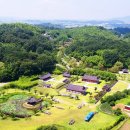 봉화루 | "임금님도 마셨다" 죽로차 한 잔과 2.4km 대나무 산책로의 여유