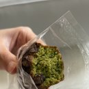 두아띠 | [양산] 내돈내산 휘낭시에 맛집 "두아띠 구움과자"