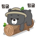 빽다방시흥배곧메가점