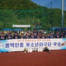 양양군 야구장 이미지