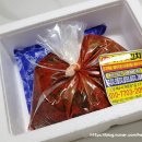 참맛반찬 | 여수김치맛집 참맛여수갓김치 택배후기