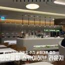 인천공항 1터미널 스카이허브 라운지 3시간전 도착 추천 가격 제휴카드