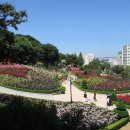 부천둘레길5코스 이미지