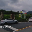 감천계곡 입구 이미지