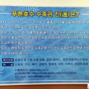진수족관