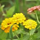 하얀크린하우스 이미지