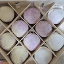 건강힐링문화관 | 🌿 안산 대부도 당일치기 여행 코스 추천 (시화나래휴게소부터 바다향기수목원까지!)